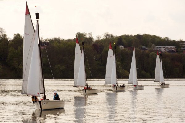 regatta